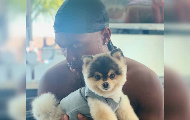 Casa lui Daniel Sturridge a fost spartă. Hoții i-au furat chiar și câinele. Cât e dispus fostul jucător de la Liverpool să plătească pentru a-și recupera patrupedul / FOTO&VIDEO