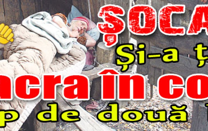 Şocant! Şi-a ţinut soacra în coteţ timp de două luni