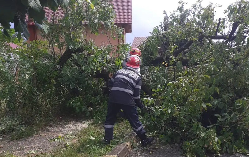 Localitatea Horezu a rămas fără energie electrică după ce un copac doborât de vânt a rupt cablurile de curent