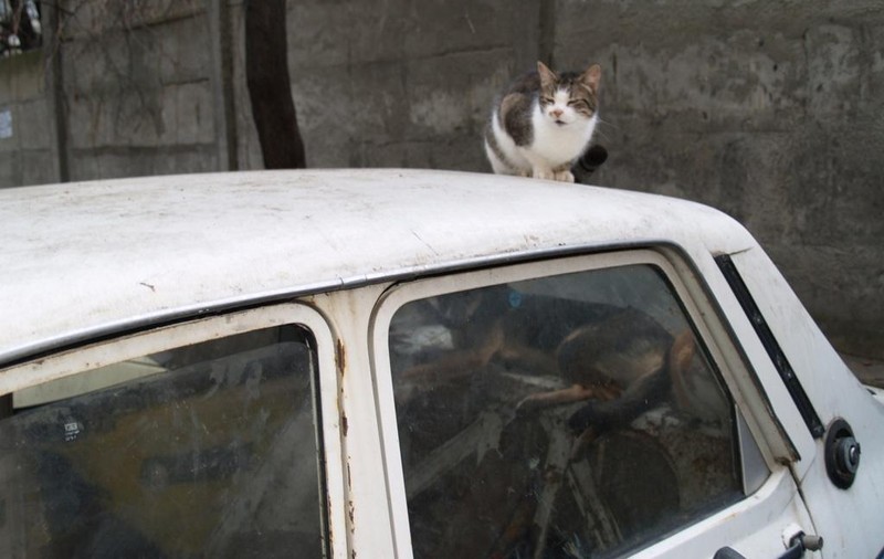 Aproape 1.000 de maşini abandonate au fost ridicate de pe străzi în sectorul 6