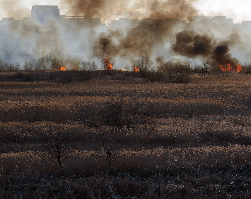 Incendiu puternic în Delta Văcărești. ISU București: Focul a fost provocat