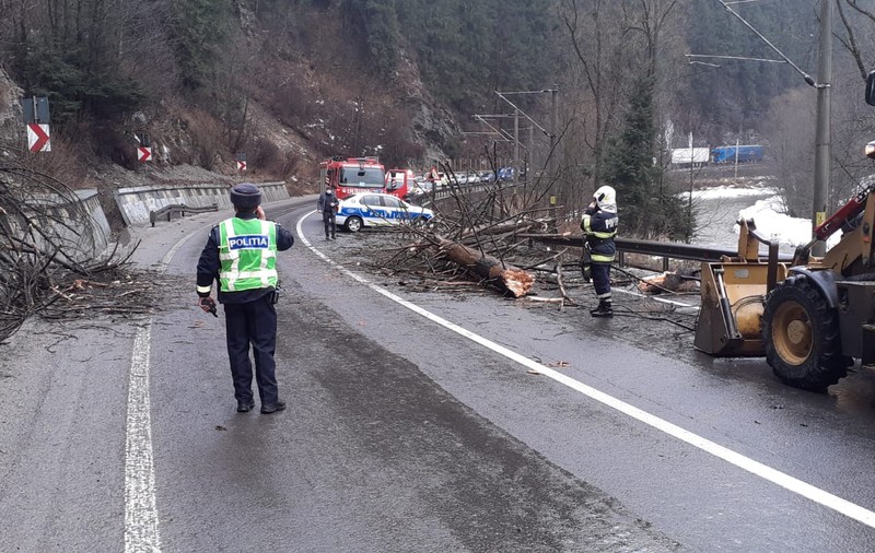O femeie din București a murit după ce un copac a căzut peste mașina în care circula cu soțul și cei doi copii. Familia era în vacanță
