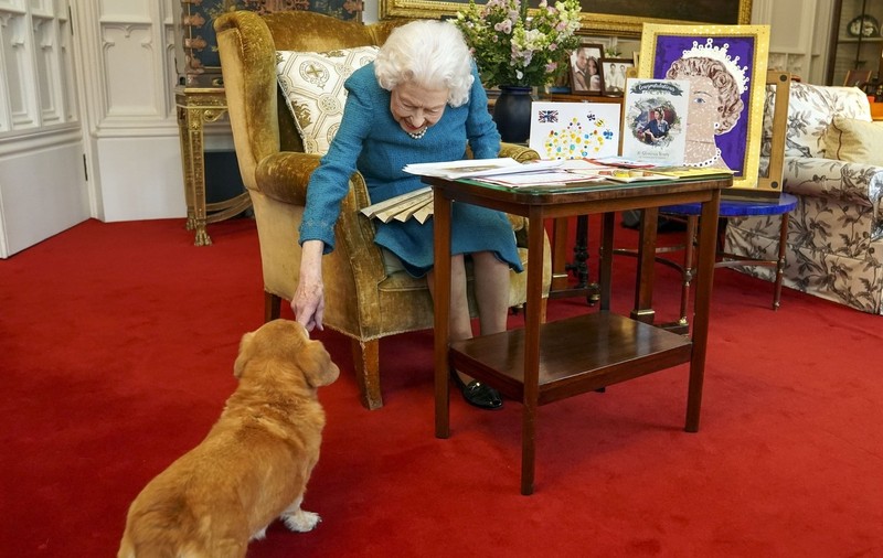Doi dintre câinii corgi ai reginei Elisabeta a II-a vor rămâne în grija prințului Andrew și a prințesei Beatrice