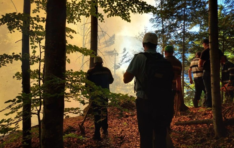Aproape 3 hectare de pădure au ars în Munții Rodnei, în urma incendiului izbucnit joi