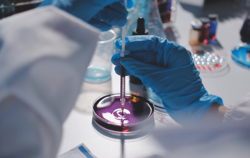 Produsele îmbunătățite de inteligența artificială: de la șampon la biscuiți și pastă de dinți. „Poți optimiza modul în care îți dezvolți rețetele”