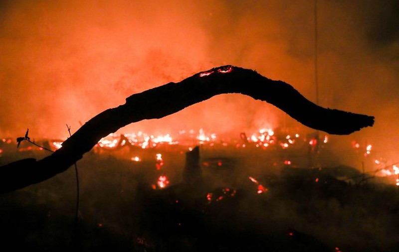 Încălzirea globală. Cât de rău poate fi viitorul, dacă nu facem nimic?