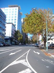 Secția de votare din Auckland e la etajul 16, ultimul, al clădirii din stânga