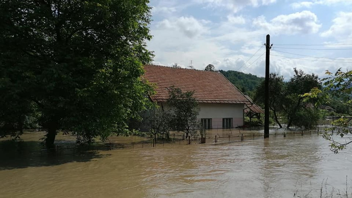 Arhiva foto