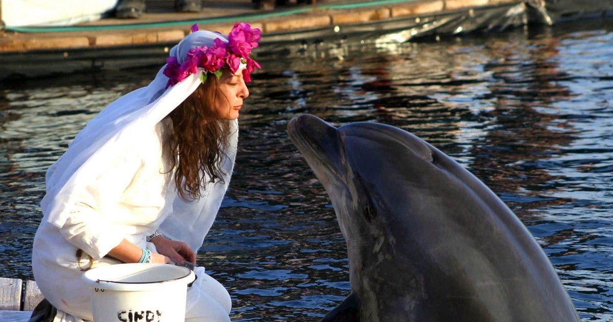 Delfin