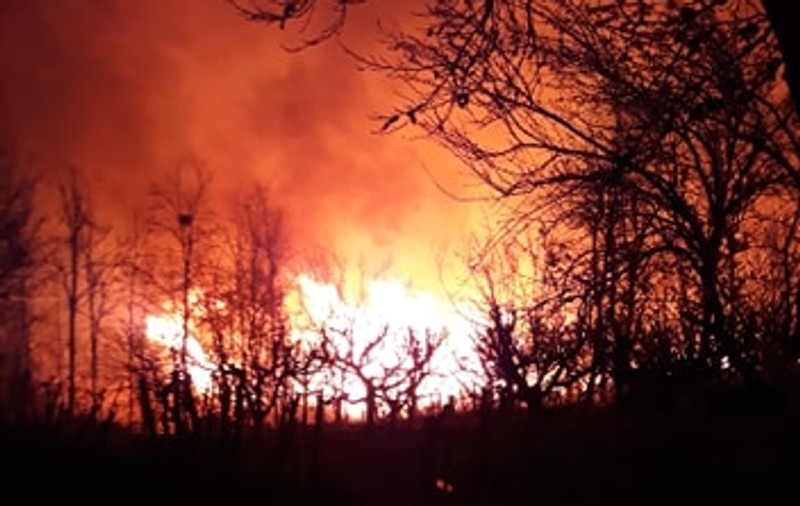 VIDEO Incendiu de vegetație în apropierea caselor din Fierbinți. Au ars 350 hectare de stuf și iarbă uscată: “Ne-am panicat, flăcările erau uriașe”