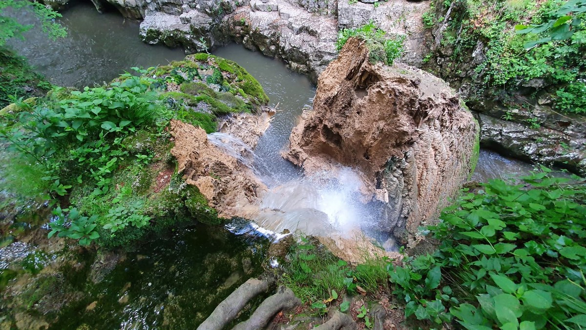 Arhiva foto