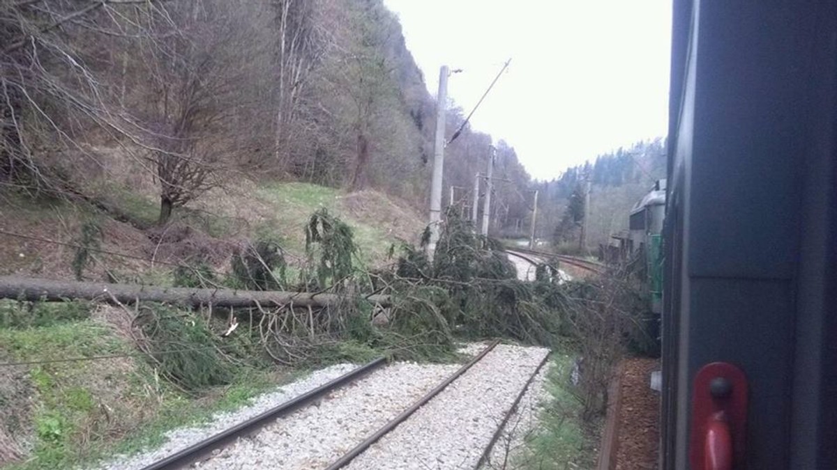 Cum aflu online, dacă trenul meu are întârziere