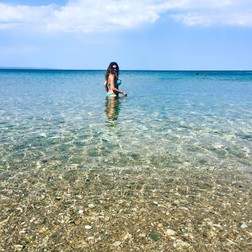 Arhiva foto