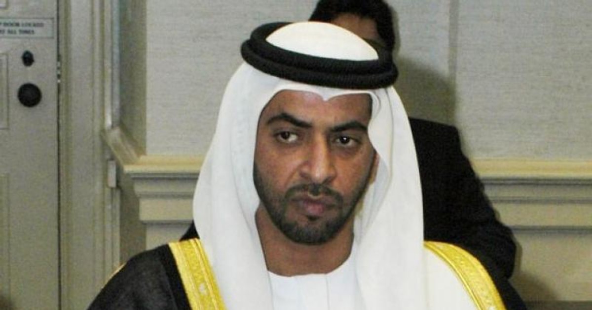 Seicul Hamdan Bin Zayed Al Nahyan, din Emiratele Arabe Unite, vrea să cumpere Insula Mare a Brăilei cu 200 de milioane de euro. El este al patrulea fiu al fondatorului Emiratelor Arabe Unite