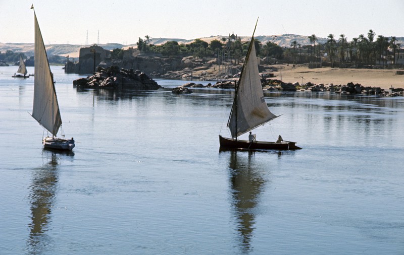 Povestea celor mai lungi fluvii din lume. De la Nil la Mississippi și de la Amazon la Yangtze