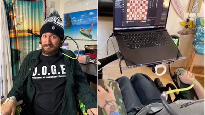 donald trump printul harry