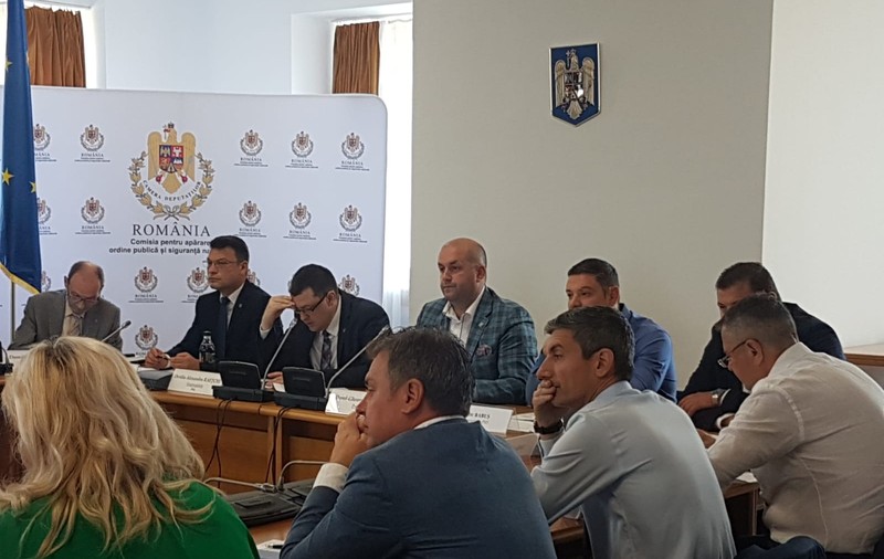 Cazul de la Caracal: Ministrul de Interne, directorul STS şi fostul şef al Poliţiei Române, audiaţi în Parlament