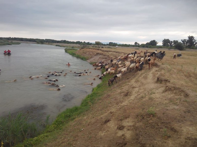 inundatii