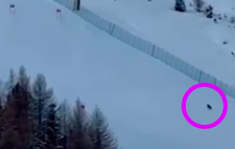 Lupi filmați pe o pârtie de schi renumită din Italia: „Nu vă faceți griji, se antrenează să fie mai rapizi!” | VIDEO