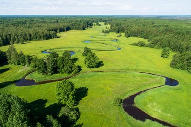 Locuri de vizitat în Estonia - Soomaa