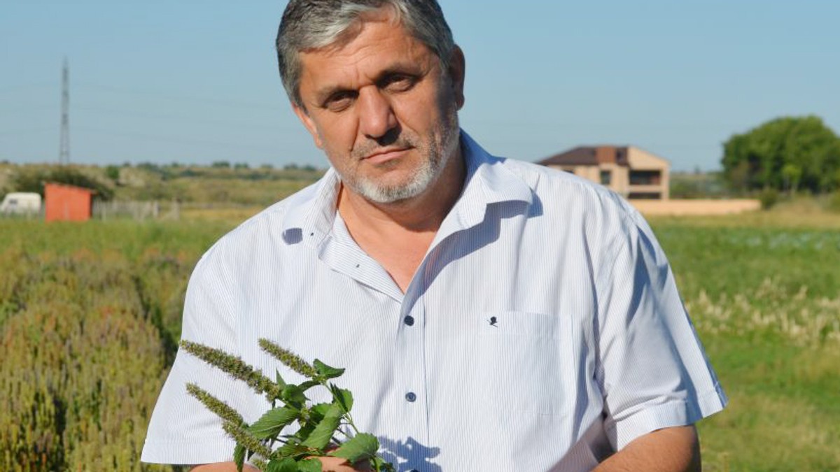 Arhiva foto