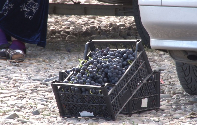 REPORTAJ/ „Dăbuleniul strugurilor”, piața unde producătorii primesc șansa de a vinde la un preț mai bun