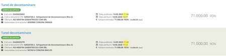 Cele două oferte identice, așa cum au apărut ele în Sistemul Electronic de Achiziții Electronice (SEAP)
