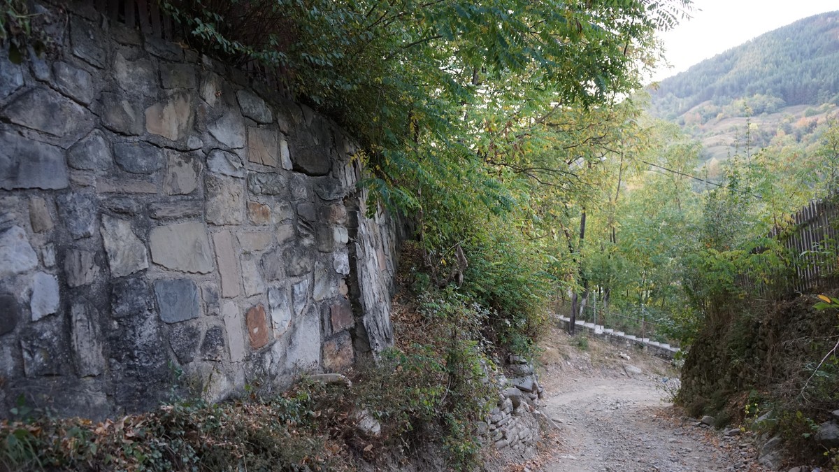 Arhiva foto