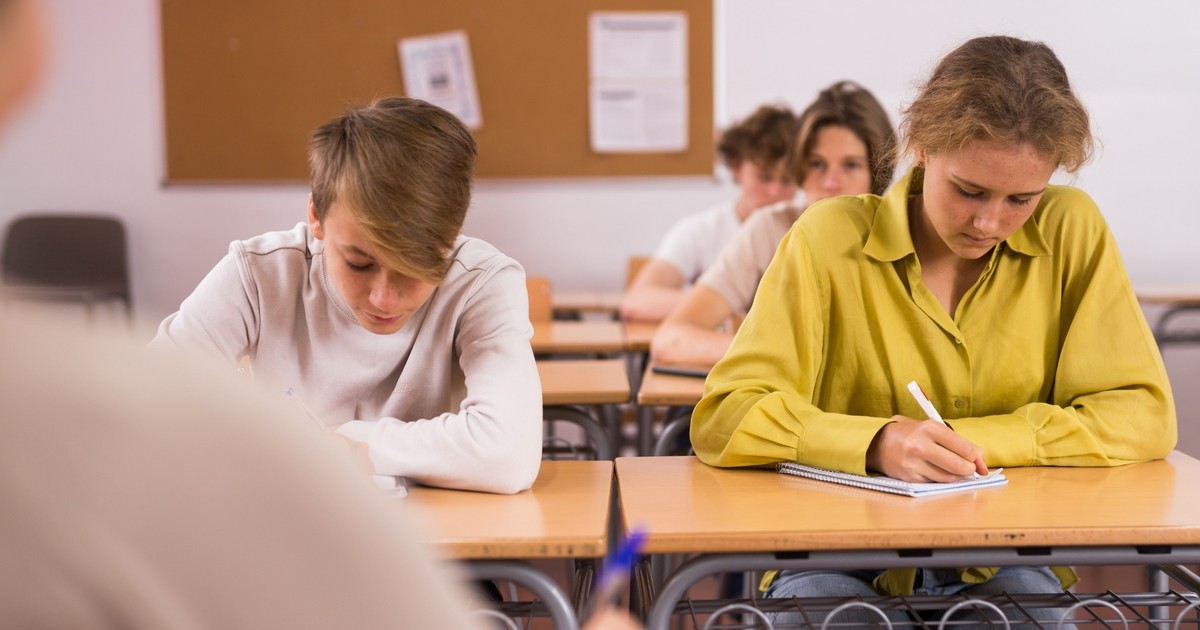 Rezultate BAC Satu Mare 2024. Notele, publicate pe edu.ro