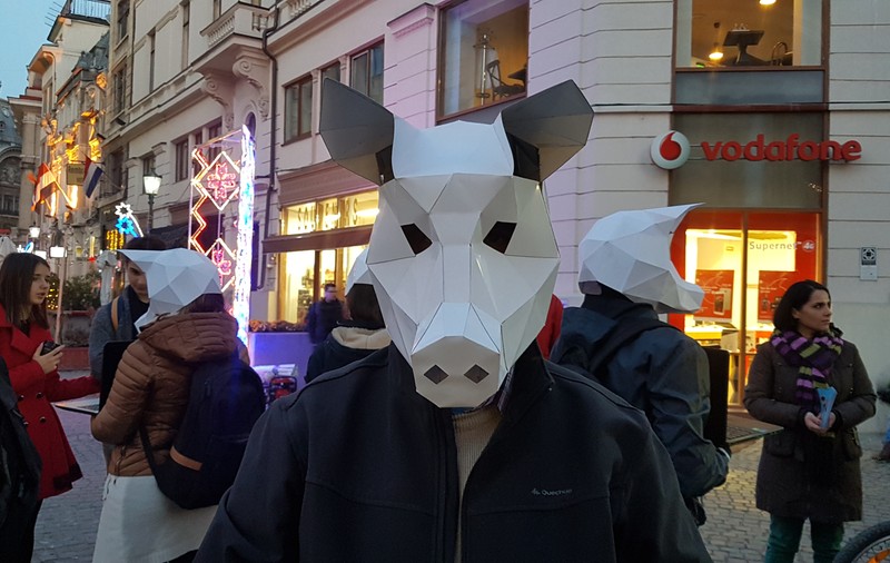 VIDEO|Veganii au ieșit în Centrul Vechi cu măști de porc pe față. Câți români ar renunța la tochitură, de Sărbători