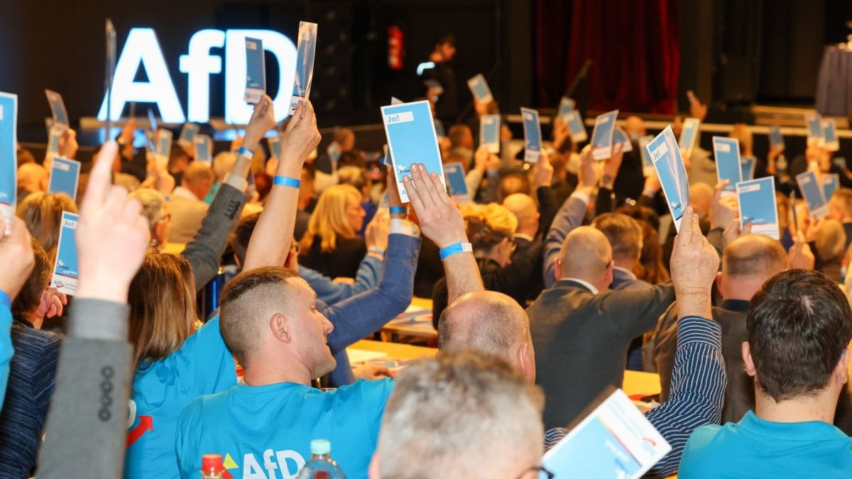 Delegați votează la conferința partidului Alternativa pentru Germania (AfD) din landul Saxony-Anhalt