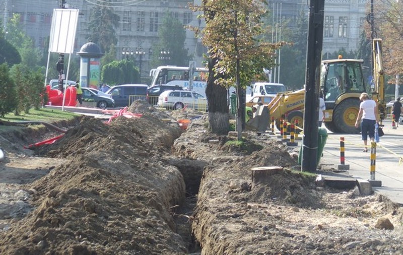 Autorităţile vor să taie teii din Iaşi pentru că nu se potrivesc cu... peisajul!