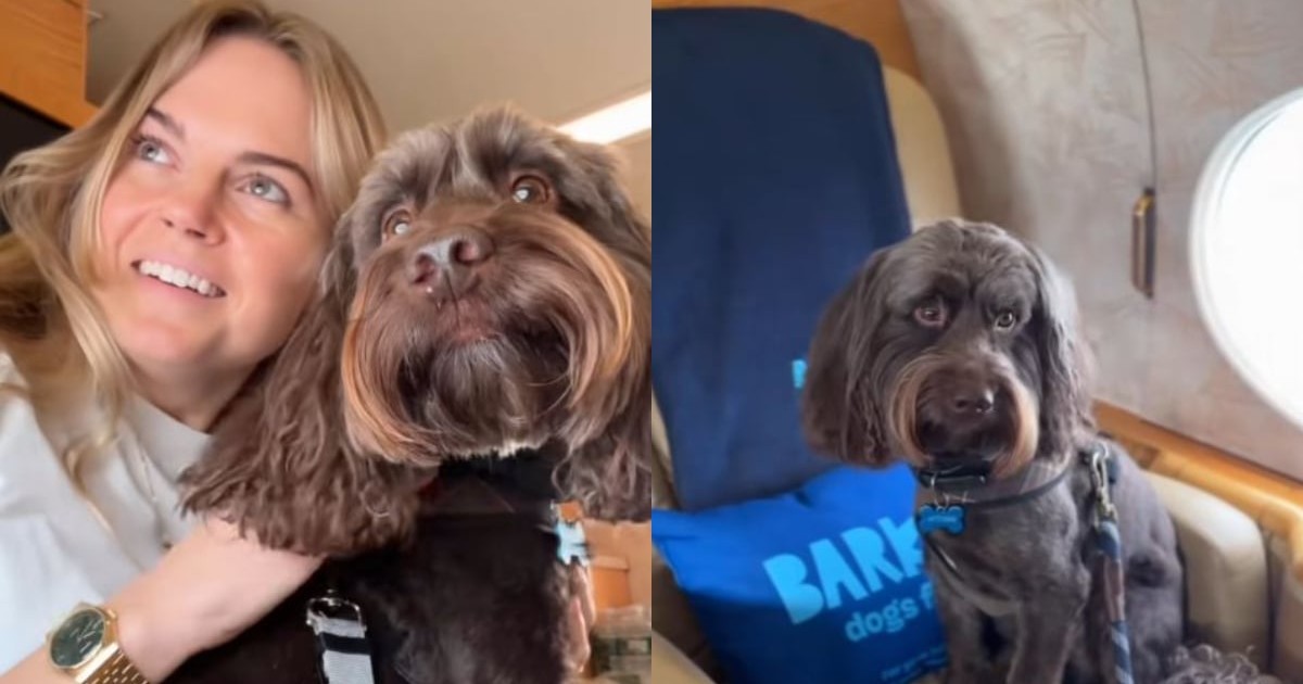 Un colaj format din două fotografii cu un cățel negru și stăpâna lui, în prima aimgine animalul stă pe scaunul unui avion privat, iar în a doua stă cu stăpâna lui lângă fereastra avionului