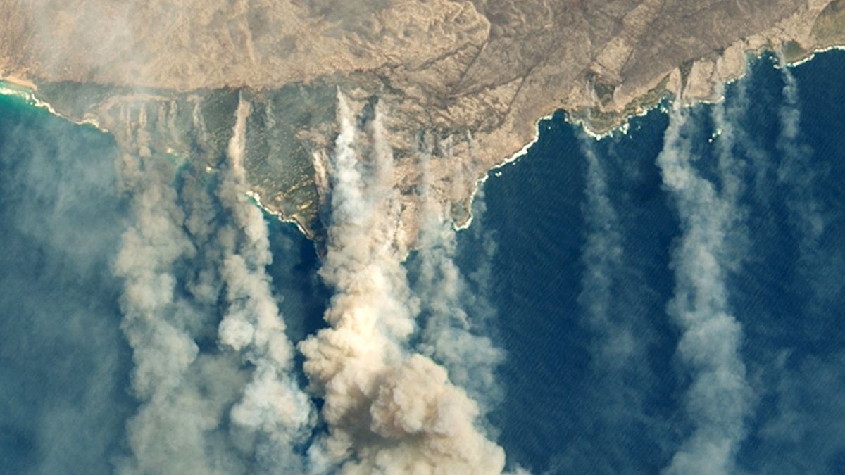 Incendiile au devastat Insula Cangurilor din Australia FOTO: EPA