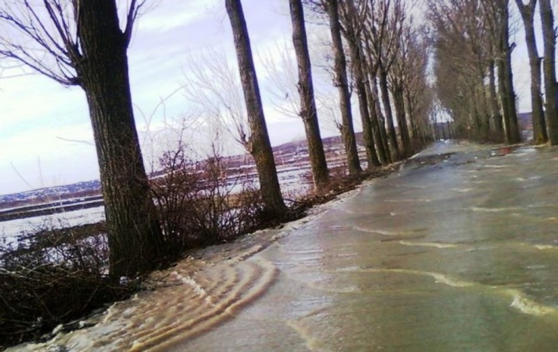 Inundații în județul Arad. Zeci de hectare au fost inundate, un drum este necirculabil