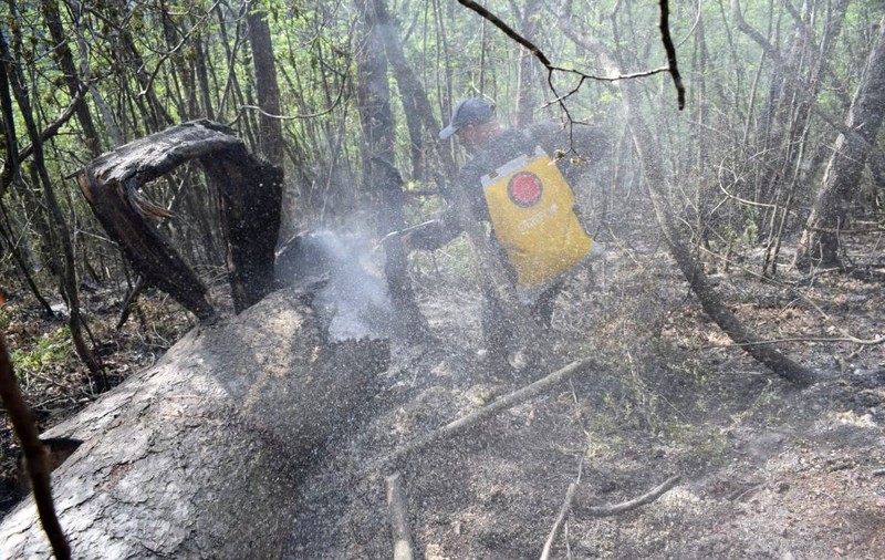 Pompierii inca se lupta cu incendiul din Parcul National Domogled – Valea Cernei, in ziua a cincea