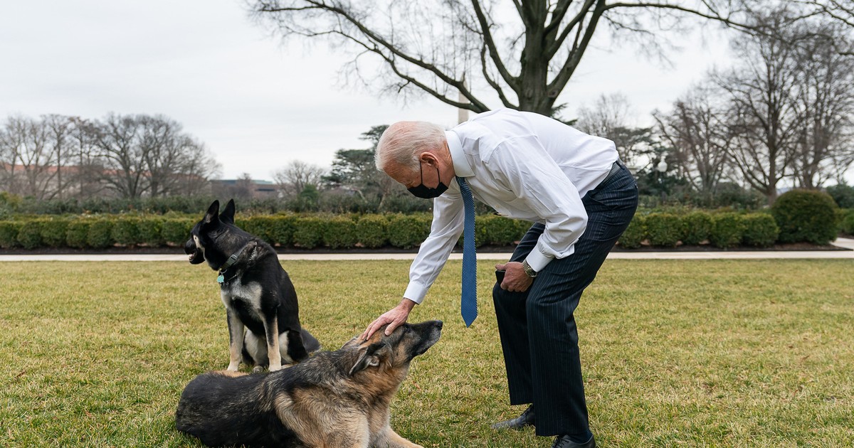Champ, ciobănescul german al președintelui american Joe Biden, a murit. „Era adorat de întreaga familie”