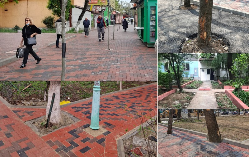 Pavele în loc de spații verzi în București și pentru că registrul spațiilor verzi existent e nul. De ce n-a făcut încă Primăria Capitalei unul nou