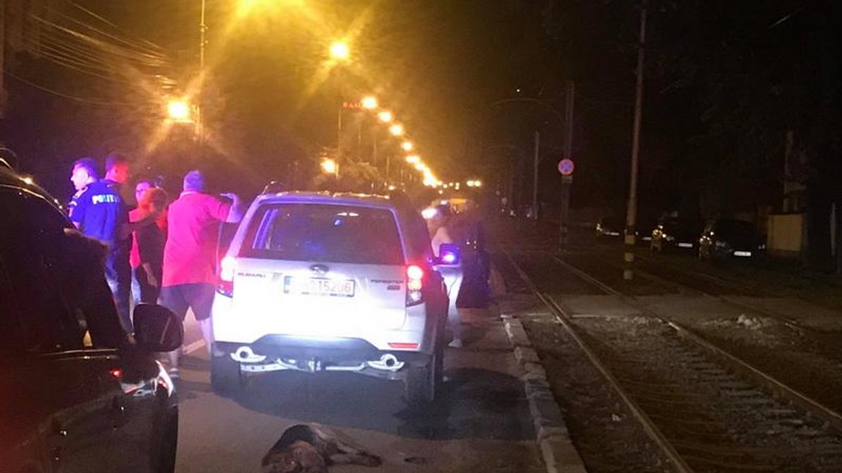 Câine legat de mașină și târât prin trafic în Oradea