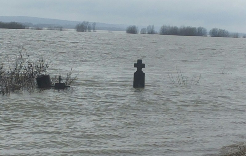 Dunărea, sub cod portocaliu în judeţul Olt! Sute de hectare de păşune şi pădure sunt inundate! GALERIE FOTO