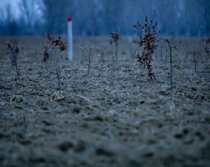 Tufișul Memoriei Naționale – parcul de 4 milioane de euro, dedicat eroilor, girat de MApN și lansat cu fanfară de „baronul” Marian Oprișan, e pe cale să devină teren de vânătoare