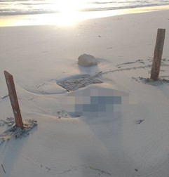 Bebeluș mort, acoperit de nisip, găsit pe plajă | Foto: Twitter / Oscar Campos