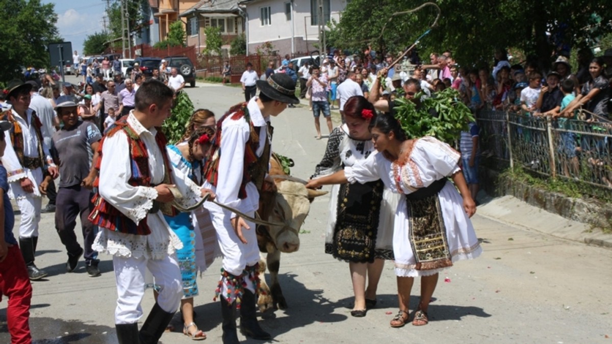 Arhiva foto