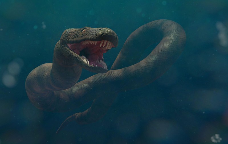 Mai mare decât Titanoboa: cercetătorii au descoperit uluiți un șarpe monstruos de 15 metri