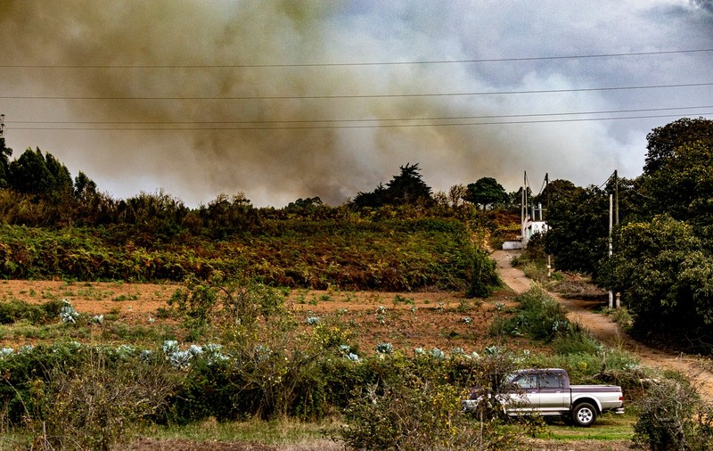 Temperaturi record în Insulele Canare: mai multe școli au fost închise, după reaprinderea unui incendiu puternic de vegetație