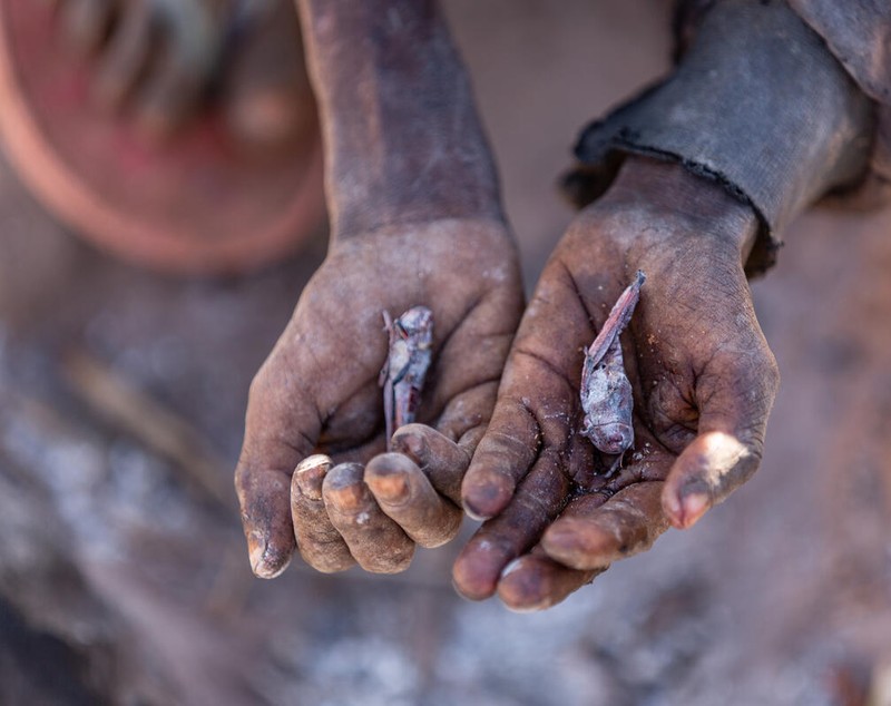 Locuitorii din Madagascar, nevoiți să mănânce greieri, frunze de cactus și noroi, din cauza foametei