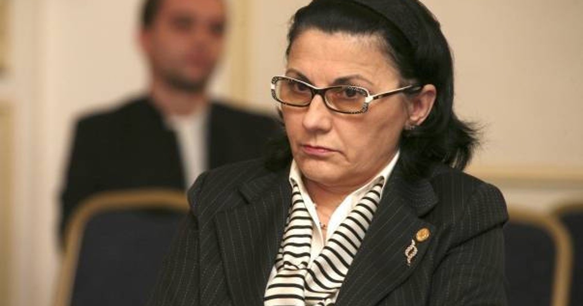 Ecaterina Andronescu, despre protestele din 20 ianuarie