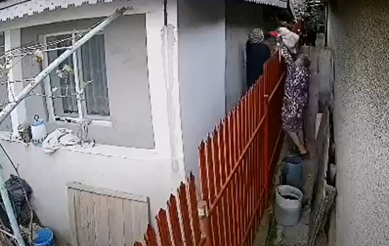 VIDEO / Două bătrâne din Galați au furat câinele din curtea vecinilor, după ce au sărit gardul: “Au zis că l-au mâncat!”