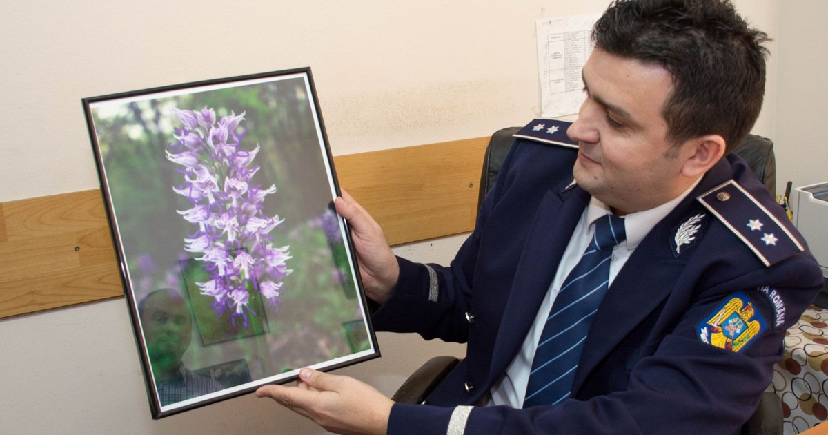 Remus Dulugeac, comisarul de la Investigații Criminale îndrăgostit de orhidee