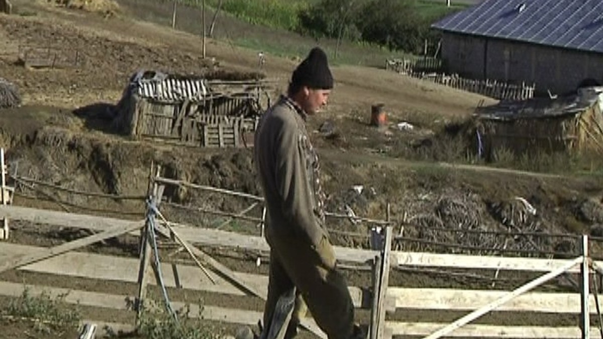 Arhiva foto